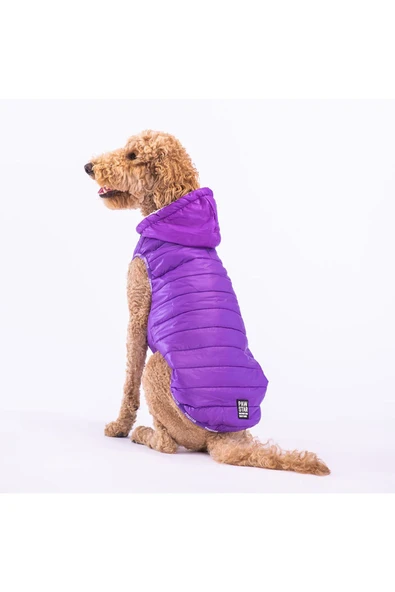 Pawstar Mor Railway Orta Ve Büyük Irklar Için Anorak Yelek Köpek Yeleği Köpek Kıyafeti Köpek Yağmurluk ürün görseli