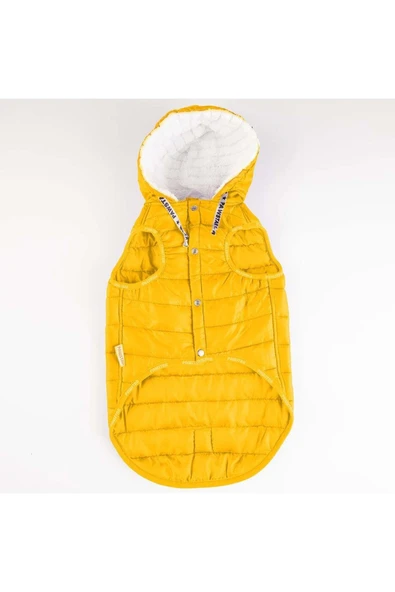 Pawstar Sarı Railway Küçük Ve Orta Irk Yelek - Resim 4