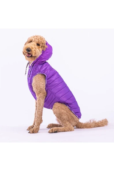 Pawstar Mor Railway Orta Ve Büyük Irklar Için Anorak Yelek Köpek Yeleği Köpek Kıyafeti Köpek Yağmurluk - Resim 3