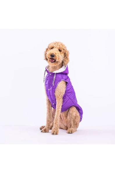 Pawstar Mor Railway Orta Ve Büyük Irklar Için Anorak Yelek Köpek Yeleği Köpek Kıyafeti Köpek Yağmurluk - Resim 2