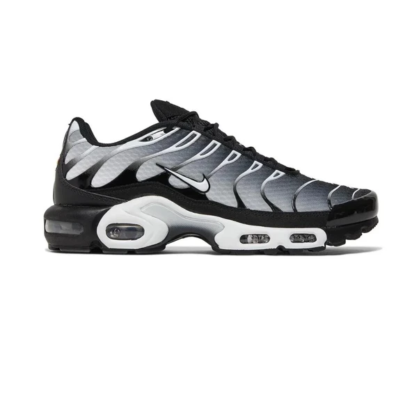 Nike Air Max Plus Black/Metallic Silver - 4