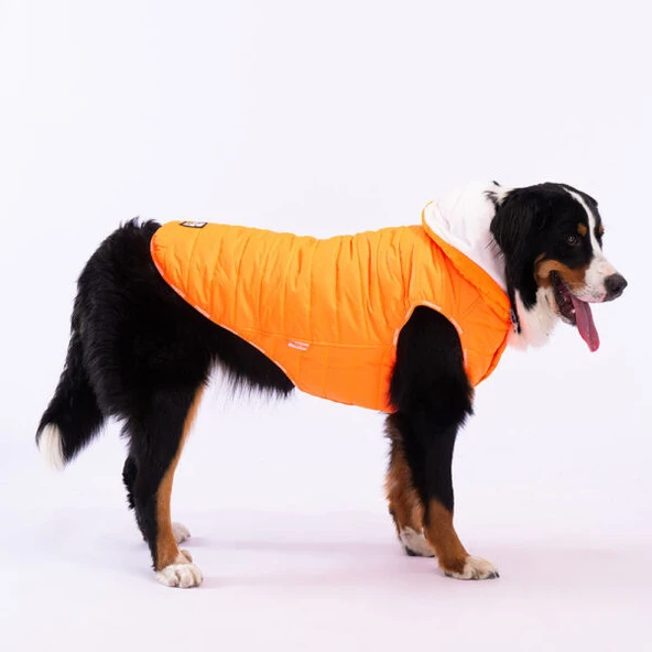 Pawstar Neon Turuncu Railway Orta ve Büyük Irklar İçin Anorak Köpek Yeleği Köpek Kıyafeti Köpek Yağmurluk - Resim 4