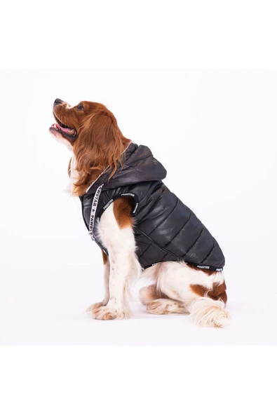 Pawstar Siyah Railway Anorak Yelek Köpek Yeleği Köpek Kıyafeti Köpek Yağmurluk - Resim 2
