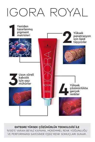 IGORA Royal 8-77 Açık Kumral Yoğun Bakır Saç Boyası 60ml - 2