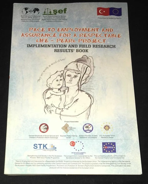 SAYGIN BİR YAŞAM İÇİN İSTİHDAM VE GÜVENCEYE ADIM-PEARL PROJESİ UYGULAMA VE ALAN ÇALIŞMASI SONUÇ KİTABI (Sahafiye Kitap) - Resim 2