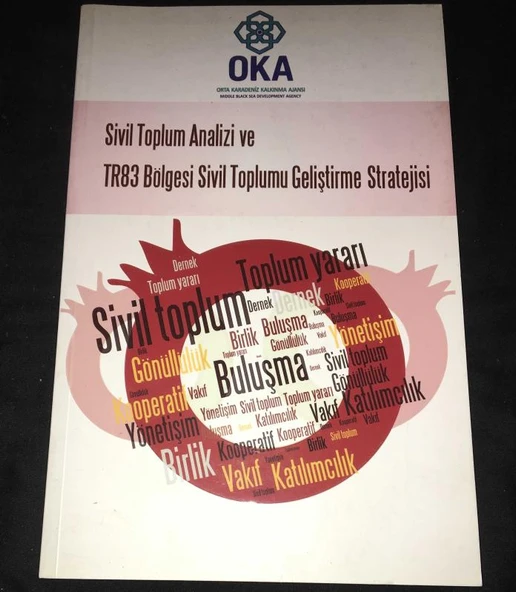 SİVİL TOPLUM ANALİZİ VE TR83 BÖLGESİ SİVİL TOPLUMU GELİŞTİRME STRATEJİSİ (Sahafiye Kitap) ürün görseli 1