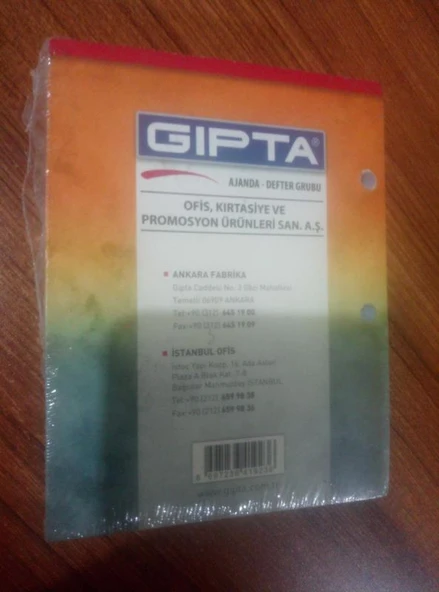 2020 GIPTA Yapraklı Masa Takvimi ( 365 Gün Tam ) - Jelatininde (Sahafiye Kitap) - 2