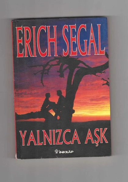 YALNIZCA AŞK (ONLY LOVE) (Sahafiye Kitap)
