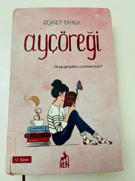 AY ÇÖREĞİ - İlk Aşk Gerçekten Unutulmaz Mıdır? (Sahafiye Kitap) ürün görseli 1
