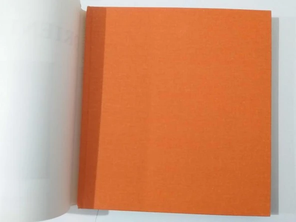 Schöne Orientteppiche - Hardcover (Sahafiye Kitap) - Resim 2