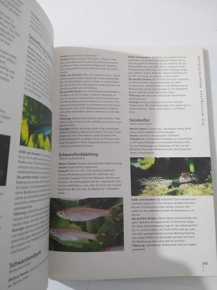 Zierfische - Faszinierende Welt der Aquarien - Hardcover (Sahafiye Kitap) - 2