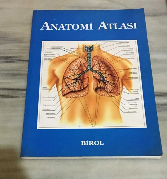 ANATOMİ ATLASI (Sahafiye Kitap) ürün görseli 1