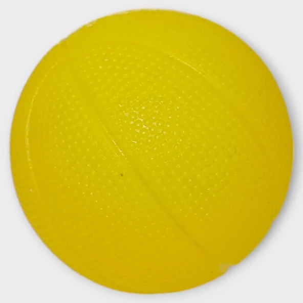 Köpek Oyuncağı - Plastik Sesli Top - AGT001 - Resim 3