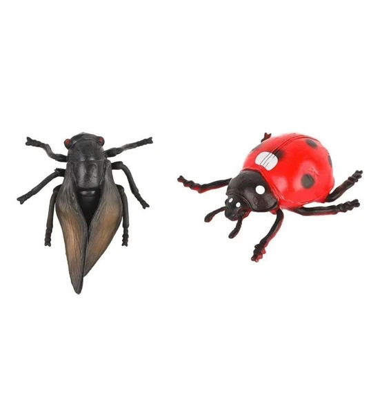 714K-4 - BÖCEKLER POŞETTE - Resim 3