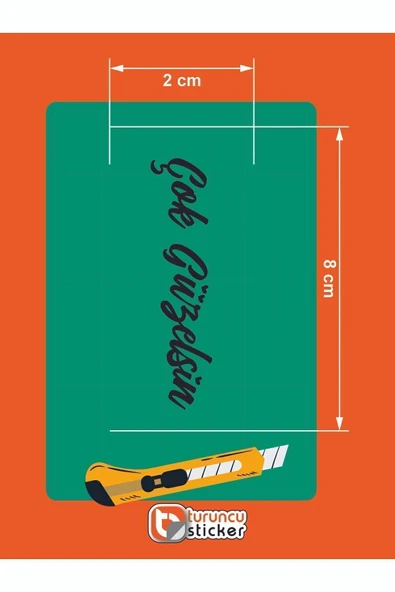 Turuncu Çok Güzelsin Araba Güneşlik Ayna Yazısı -Etiket Sticker 8x2cm - 3