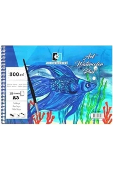 Alex Schoeller Resim Defteri A3 12 Yaprak 300 gr ürün görseli