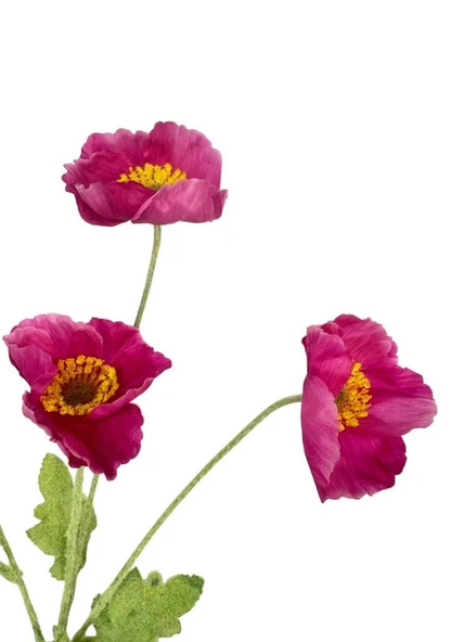 Yapay Çiçek Gelincik Çiçeği Fuşya Renk 3 Çiçek 1 Tomurcuk 59Cm - Resim 11