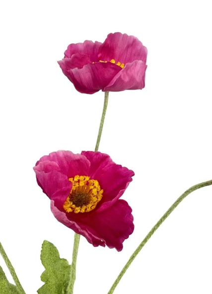 Yapay Çiçek Gelincik Çiçeği Fuşya Renk 3 Çiçek 1 Tomurcuk 59Cm - Resim 10