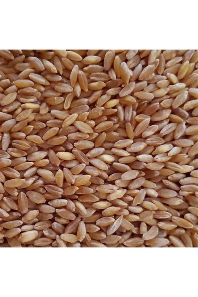 Organik Taşdeğirmen 25 Kg Yemlik Buğday Tane Buğday Güvercin Yemi Kuş Yemi Tavuk Yemi ürün görseli