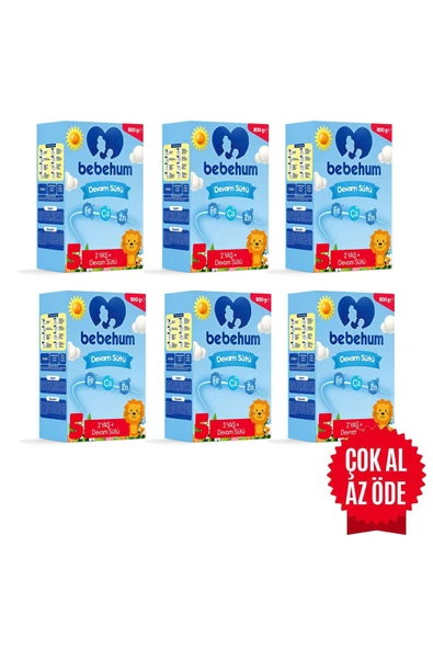 Bebehum 5 Devam Sütü 12 Ay 800 gr X 6 Adet
