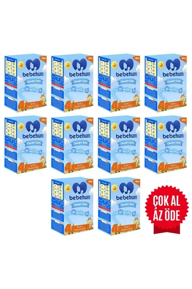 Bebehum 4 Devam Sütü 400 gr 12 Ay 10 Adet