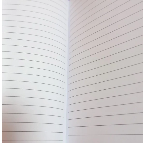 Mikro Capybara Sert Kapak Kadife Arka  Hatıra Ve Not Defteri Günlük A5 Çizgili 80 Yaprak (GN646 - Resim 3