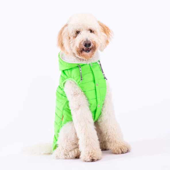 Pawstar Railway Neon Green Su İtici Orta-Büyük Irk Köpek Yelek Yağmurluk - 3