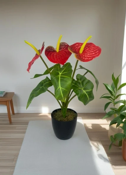 Yapay Çiçek Antoryum Siyah Saksılı Yapay Bitki Salon Çiçeği Kırmızı - Resim 5