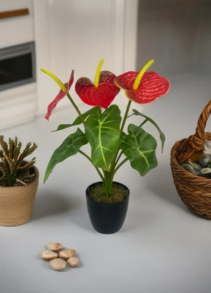 Yapay Çiçek Antoryum Siyah Saksılı Yapay Bitki Salon Çiçeği Kırmızı - Resim 3