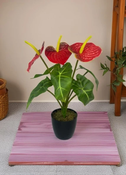 Yapay Çiçek Antoryum Siyah Saksılı Yapay Bitki Salon Çiçeği Kırmızı ürün görseli