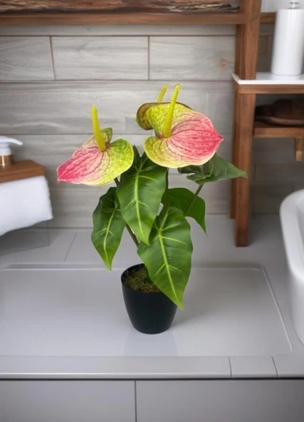 Yapay Çiçek Antoryum Siyah Saksılı Yapay Bitki Salon Çiçeği Pembe Yeşil - Resim 4