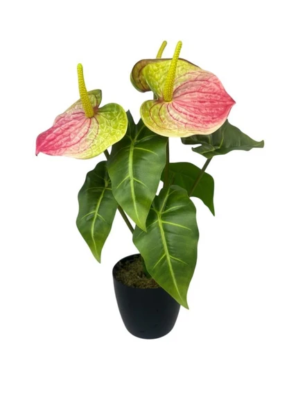 Yapay Çiçek Antoryum Siyah Saksılı Yapay Bitki Salon Çiçeği Pembe Yeşil ürün görseli