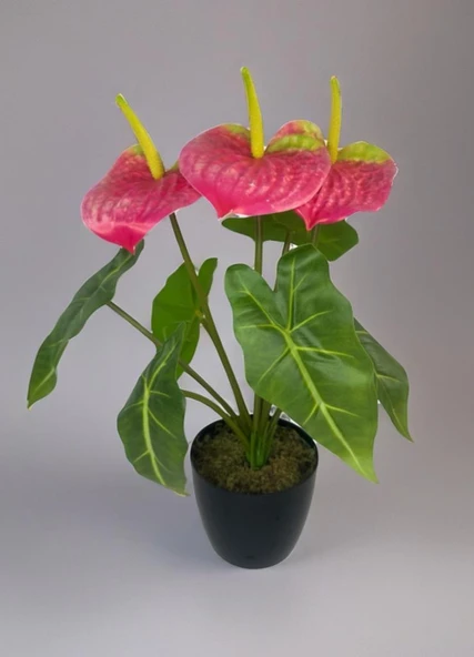 Yapay Çiçek Antoryum Siyah Saksılı Yapay Bitki Salon Çiçeği Pembe - Resim 2