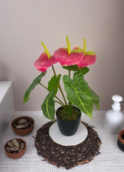 Yapay Çiçek Antoryum Siyah Saksılı Yapay Bitki Salon Çiçeği Pembe - Resim 6