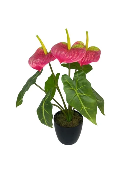 Yapay Çiçek Antoryum Siyah Saksılı Yapay Bitki Salon Çiçeği Pembe ürün görseli