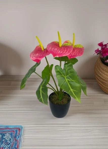 Yapay Çiçek Antoryum Siyah Saksılı Yapay Bitki Salon Çiçeği Pembe - Resim 3