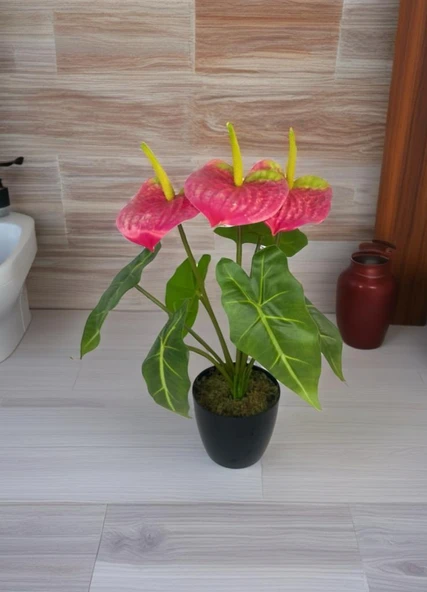 Yapay Çiçek Antoryum Siyah Saksılı Yapay Bitki Salon Çiçeği Pembe - Resim 4