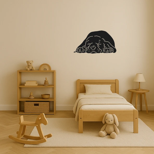 Uyuyan Köpek Dekoratif Tablo - Resim 4