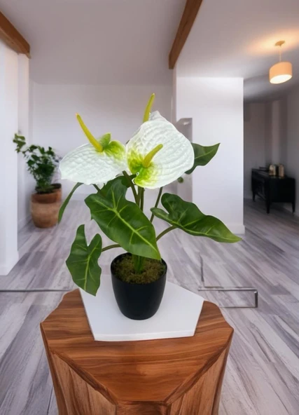 Yapay Çiçek Antoryum Siyah Saksılı Yapay Bitki Salon Çiçeği Beyaz - 7
