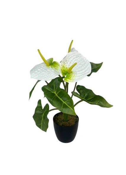 Yapay Çiçek Antoryum Siyah Saksılı Yapay Bitki Salon Çiçeği Beyaz