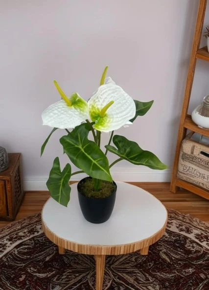 Yapay Çiçek Antoryum Siyah Saksılı Yapay Bitki Salon Çiçeği Beyaz - 6