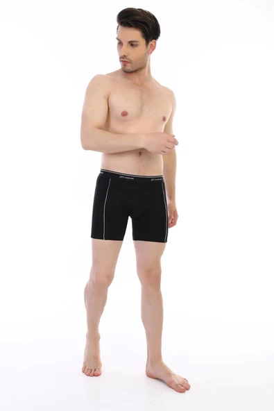 Çift Kaplan 880 Elastanlı Erkek Boxer - 5
