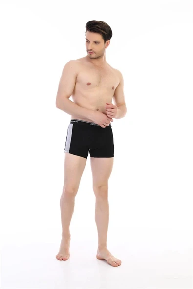 Çift Kaplan 850 Biyeli Likralı Erkek Boxer - 2