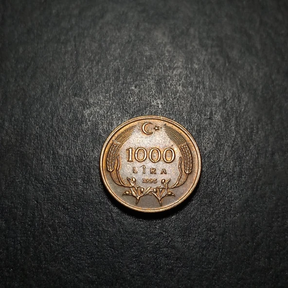 Escoines 3996368a90dbe3a9f6 1995 1000lira ççt+ para - Resim 4