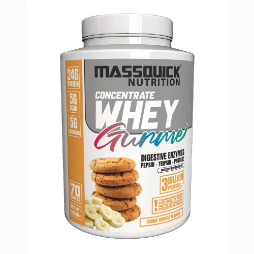 MassQuick Gurme Whey Protein Tozu 70 Servis - Resim 3