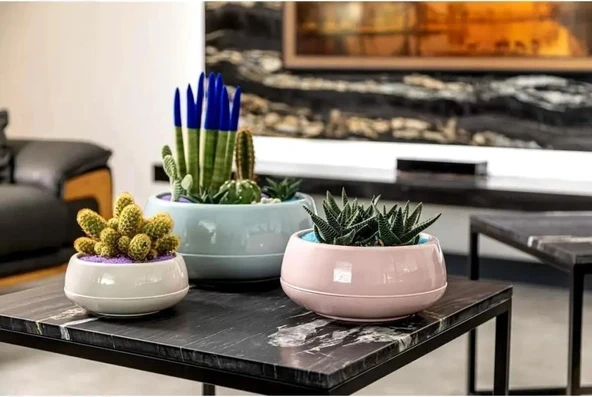 Omnipazar SO-EAS2 Elvan Arajman Sukulent Kaktüs Saksı 2 lt Kirli Beyaz 6 Adet - 4