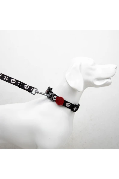 Tailpetz Boo M Küçük-Orta Irk Köpek Boyun Tasması (Boyun 30 cm x 50 cm) - 2