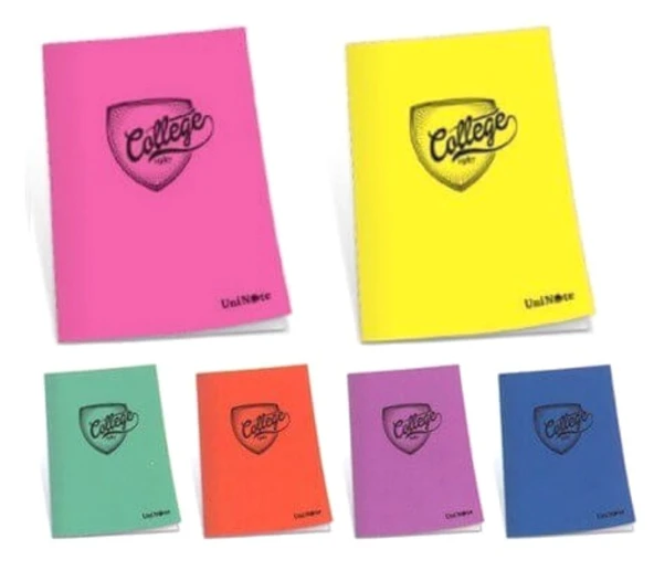 Çınar College 60 Yaprak Çizgili A4 Defter Pp Kapak - 2 adet - 1