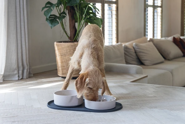 Beeztees DBL Köpek Mama Su Kabı, Bambu, Bej, 21cm, 1430ml - Resim 2