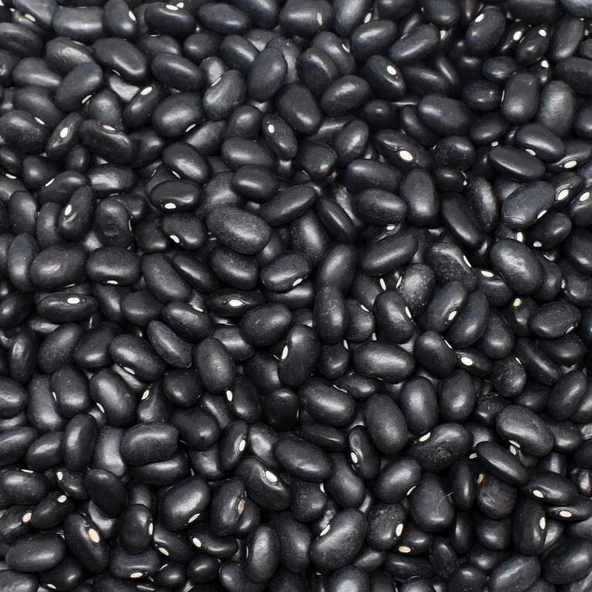 Great Mountain Si̇yah Fasulye 1000 Gr - Resim 2